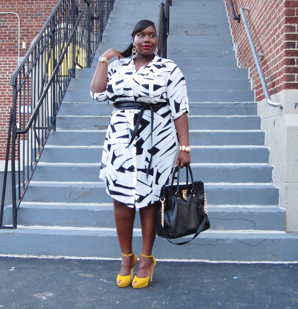 CHIC IN DKNY PLUS SIZE GRAPHIC PRINT SHIRTDRESS Stylish Curves