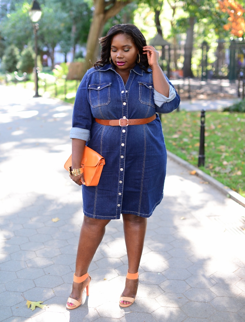 Chic In INC Plus Size Fitted Denim Shirtdress