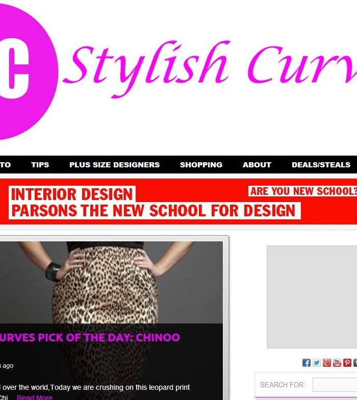 WELCOME TO THE NEW STYLISH CURVES BLOG