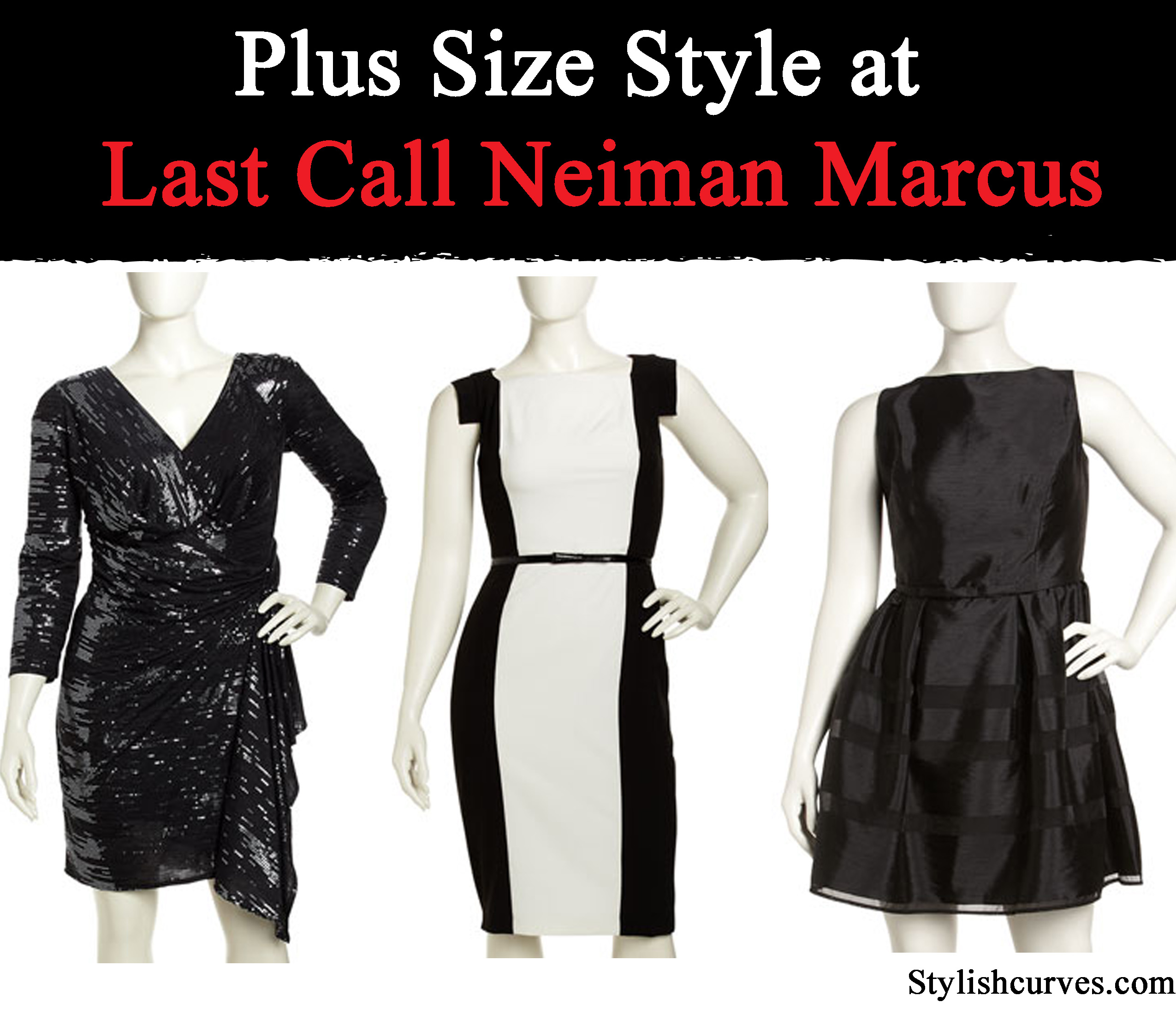 LAST CALL NEIMAN MARCUS ADDS PLUS SIZE DESIGNERS Stylish Curves