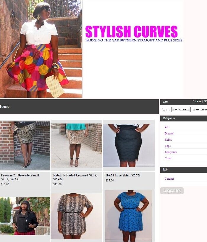 Shop Stylish Curves Online Store