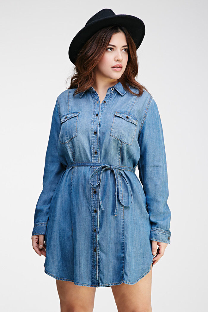 11 Plus Size Denim And Chambray Dresses Under $100