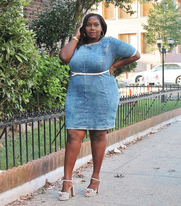 My Favorite Summer Denim Sheath Dress | Stylish Curves