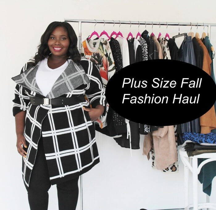 My Plus Size Fall Fashion Haul (Video)