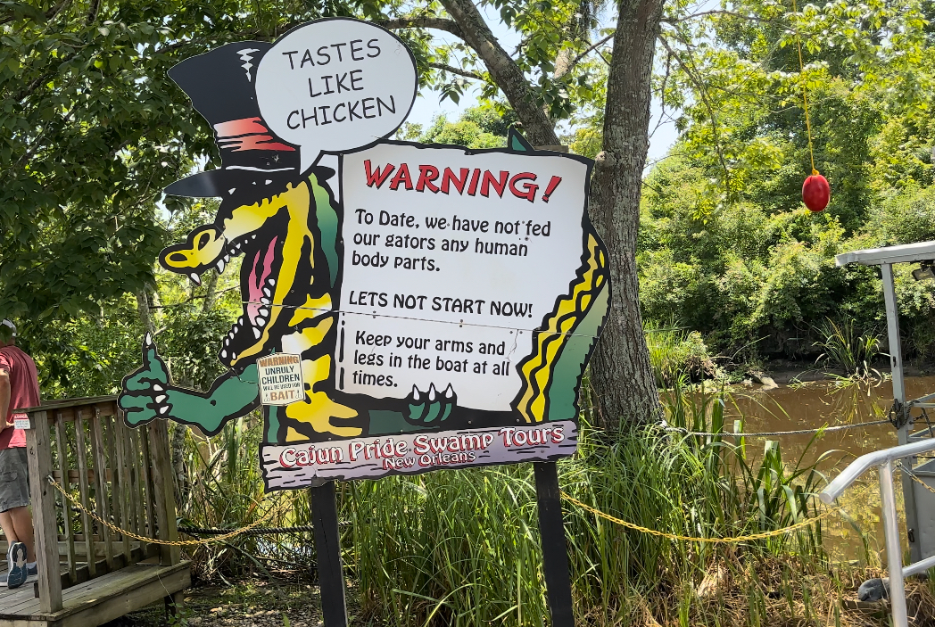 Swamp tours are a kid friendly activity in new orleans 